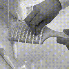 Cepillo y Peine de Masaje Antienredos: La Solución Definitiva para Cabello Libre de Nudos