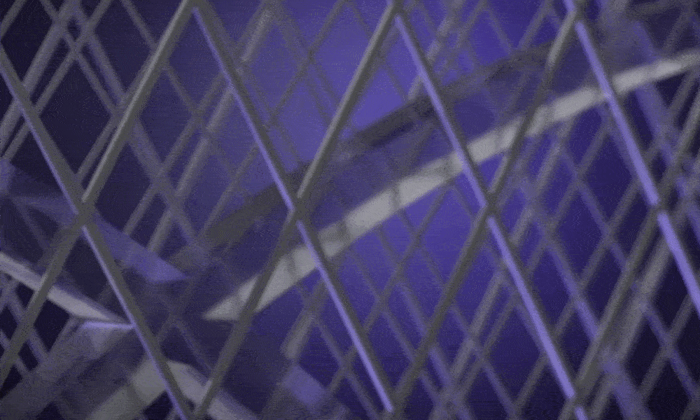 Thanks To This Simple And Safe Trick, I Finally Got A Mosquitofree