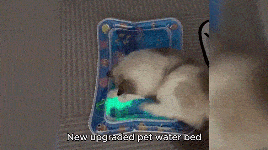 Glow Pad For Cats – Thickened Leakproof Water Play Mat With Floating Fish, Jellyfish Design For Indoor/Outdoor Fun